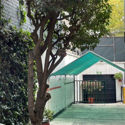 WhatsApp Image 2026-04-08 at 9.31.22 PM (1)